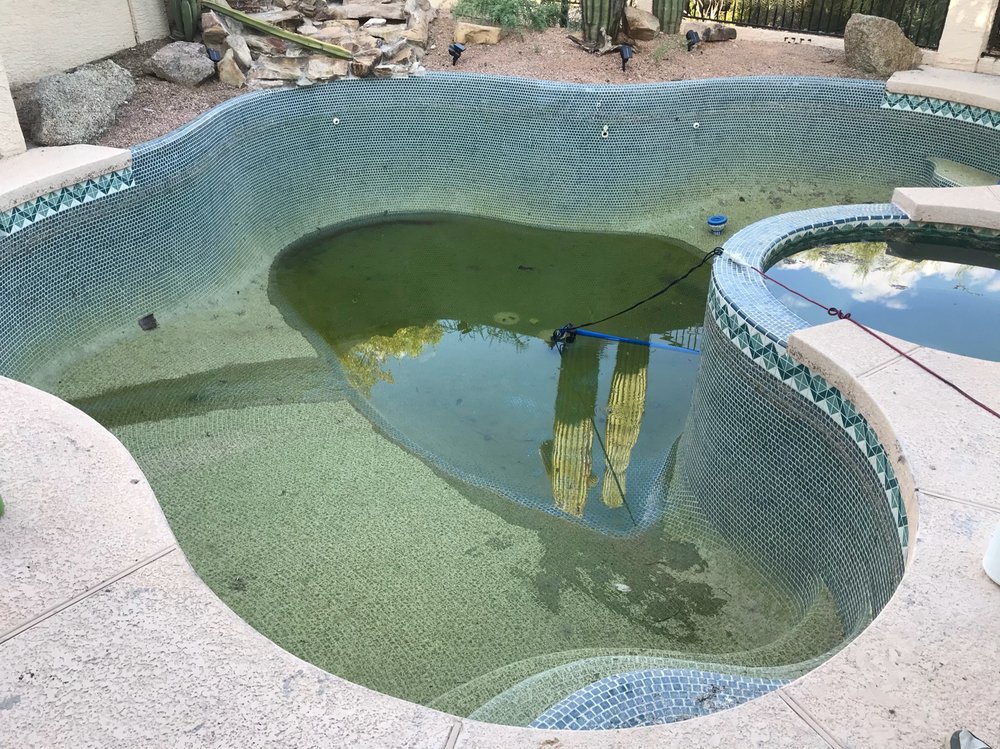 Green pool due to non cleaning of the pool.