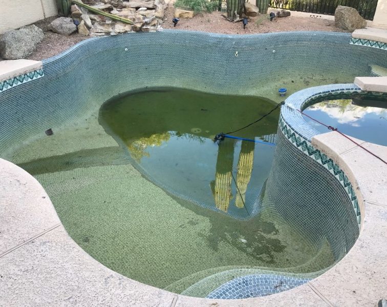 Green pool due to non cleaning of the pool.