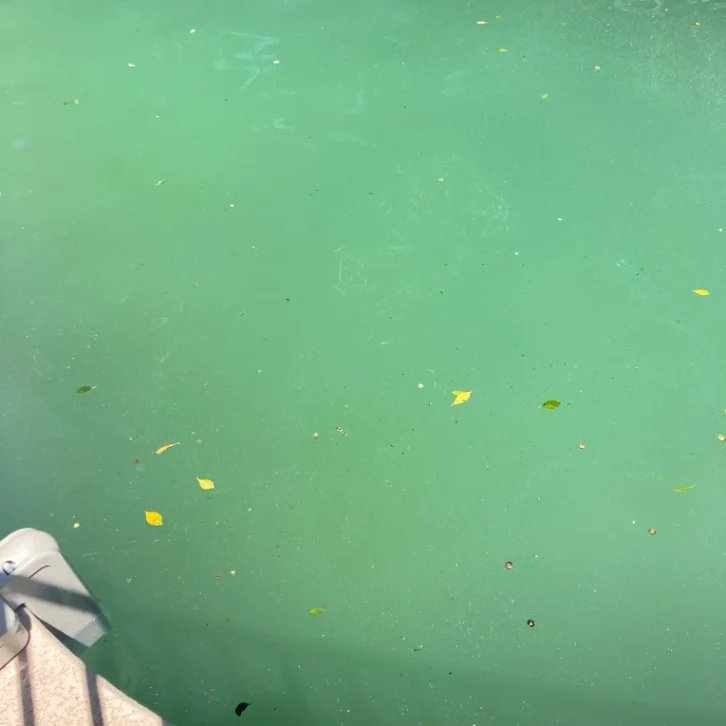 Uncleaned Green Pool