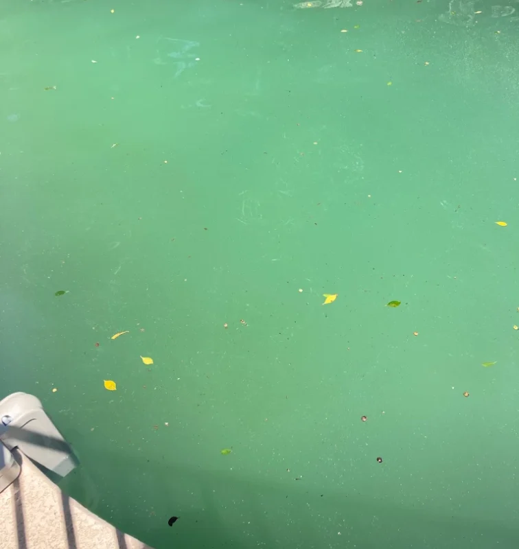 Uncleaned Green Pool